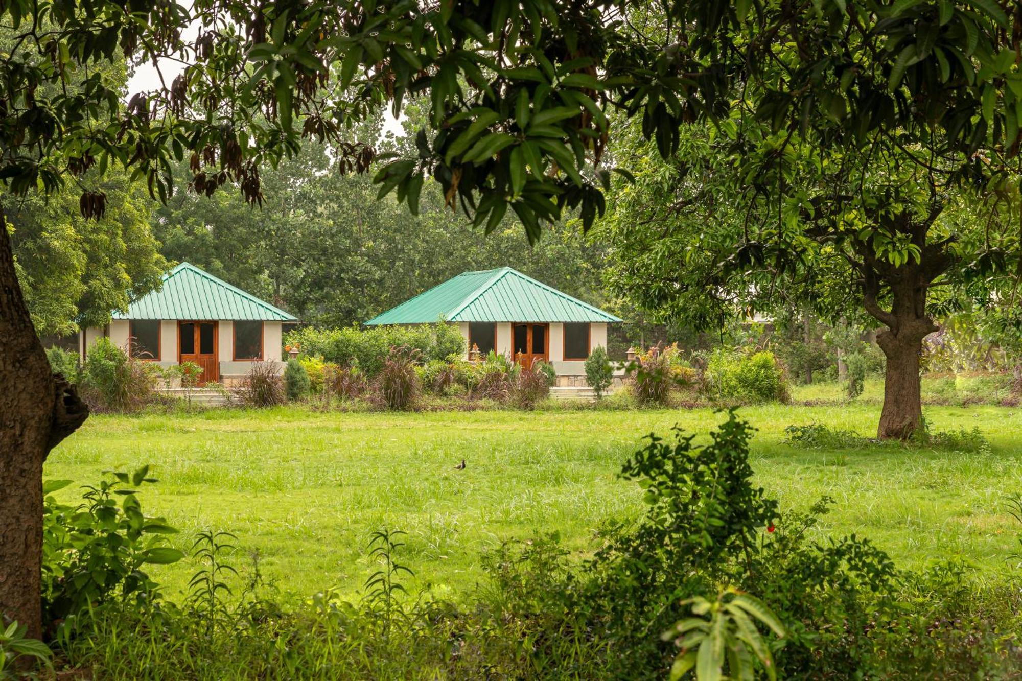 Zana Luxury Forest Resort, Ranthambore Saváj Madhopur Kültér fotó